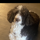 Entry image for Buddy Boudreaux 