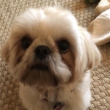 Entry image for Finn