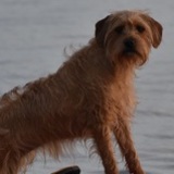 Entry image for Bonnie Baker