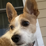 Entry image for Dorothy Lillian