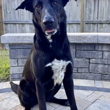 Entry image for Kona