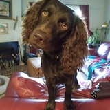 Entry image for Bailey Jane