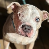 Entry image for Jett