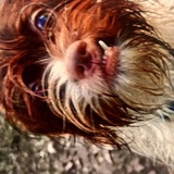 Entry image for EARL