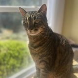 Entry image for Lucky