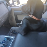 Entry image for Loki