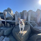 Entry image for TaterTot