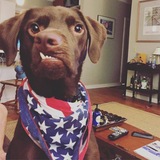 Entry image for Cody