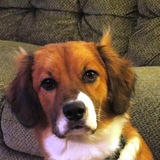 Entry image for Dakota