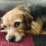 Entry image for Finley