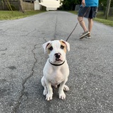 Entry image for Banx