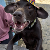 Entry image for Finn Man