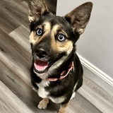 Entry image for Ruby