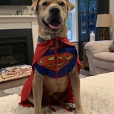 Entry image for Sherman