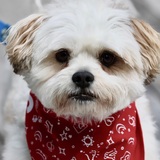 Entry image for Finn