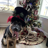 Entry image for Freya