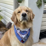 Entry image for Eddy