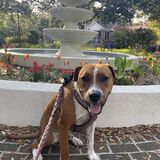 Entry image for Richard (@thekingrichard843 on Instagram)