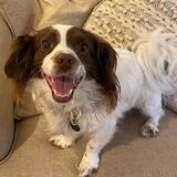 Entry image for Winston