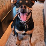 Entry image for Willa