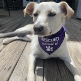 Entry image for Mr. Beans