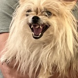 Entry image for Tiffany