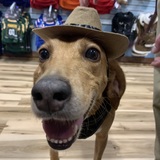 Entry image for Tucker