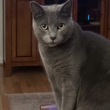 Entry image for Chloe