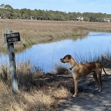 Entry image for Jaks