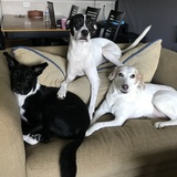 Entry image for Spirit Hope Zuma