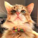 Entry image for Gabriel