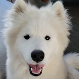 Entry image for Chaos 