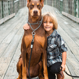 Entry image for Cayenne Diddums Von Kent 