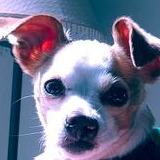 Entry image for Elvis Tate Lawson