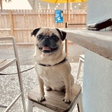 Entry image for Belly