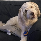 Entry image for Wyatt