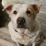 Entry image for Guiness