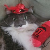 Entry image for Stormy