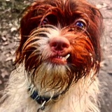 Entry image for Earl