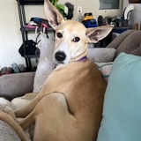 Entry image for Luna