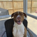 Entry image for Ellie