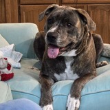 Entry image for Chauncey Conway 