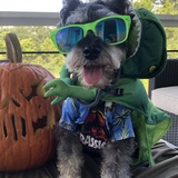 Entry image for Friday