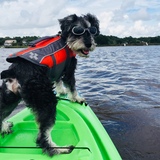 Entry image for Friday