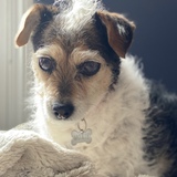 Entry image for Moxie