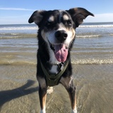 Entry image for Breezy