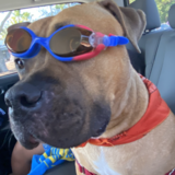 Entry image for Coco