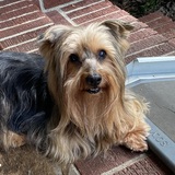 Entry image for Moxie