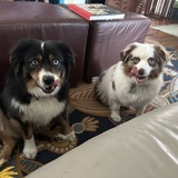 Entry image for Luke and Pinkie