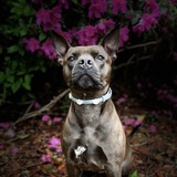 Entry image for Justice